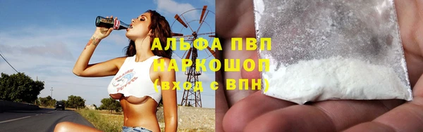 стафф Володарск