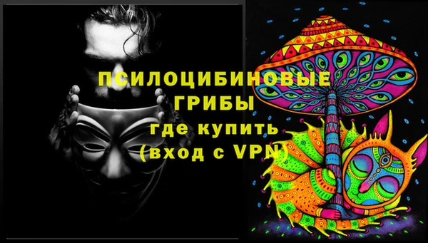 стафф Володарск