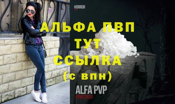 стафф Володарск
