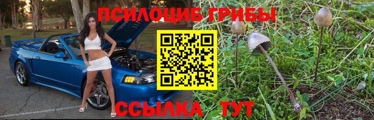 Галлюциногенные грибы ЛСД Ногинск