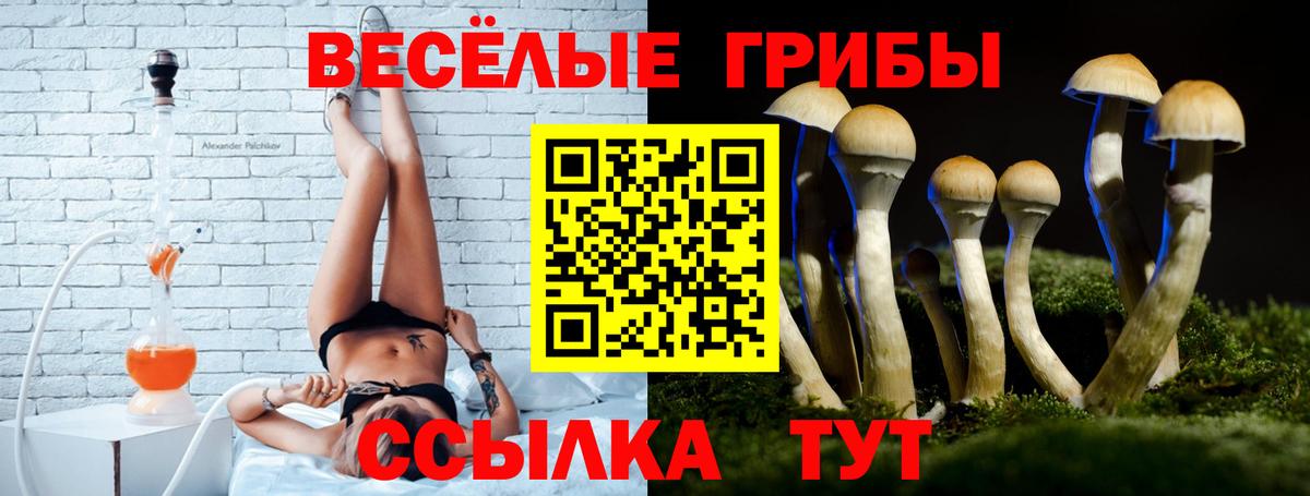 Псилоцибиновые грибы мицелий  Вход с VPN  Ногинск 